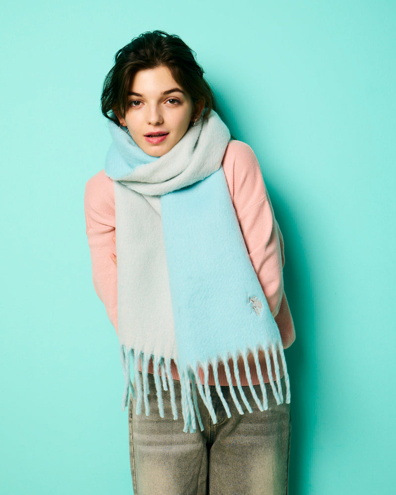 Boucle muffler USPA-2017