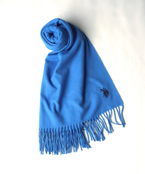 logo muffler USPA2015