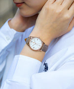 U.S. POLO ASSN. US-14 lady's Watch Classico